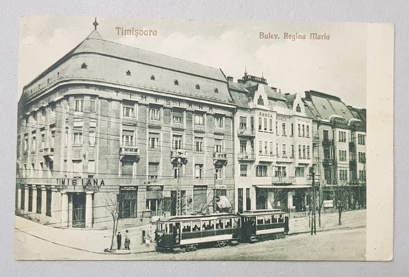 TIMISOARA , BULEVARDUL REGINA MARIA , 1926