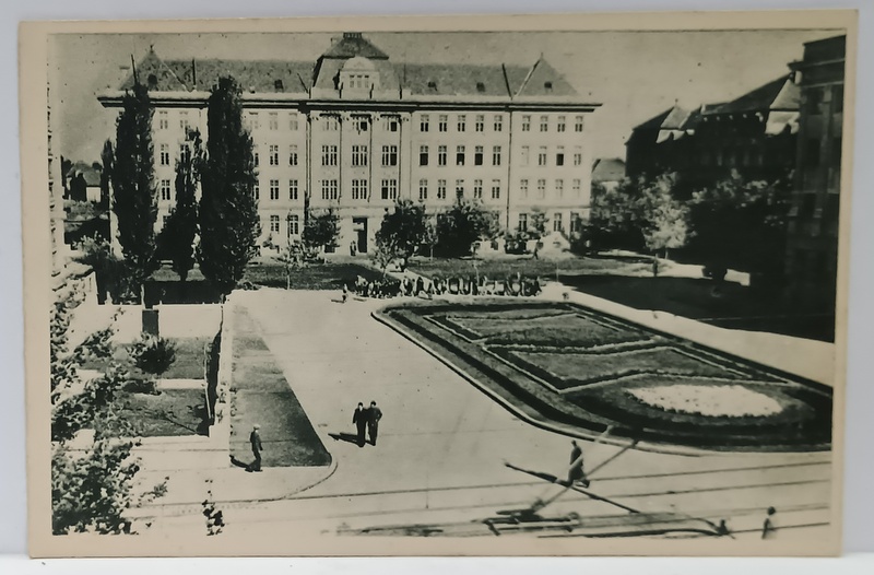 TIMISOARA , INSTITUTUL MEDICO - FARMACEUTIC , CARTE POSTALA ILUSTRATA , ANII '50