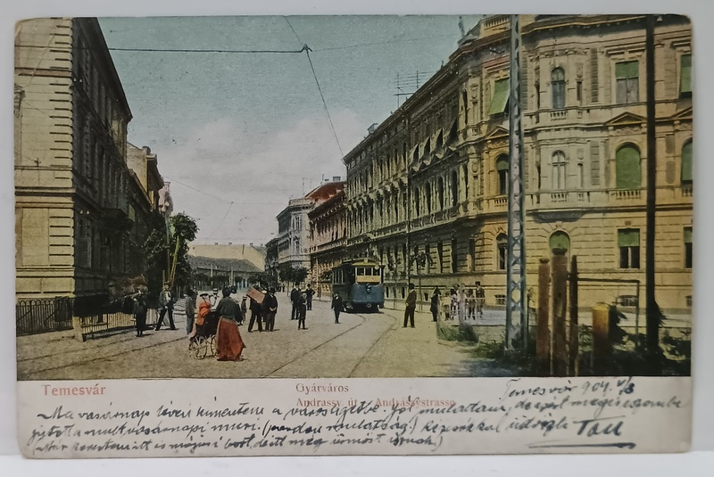 TIMISOARA , TRAMVAI PE STRADA ANDRASSY , CARTE POSTALA ILUSTRATA , CLASICA , DATATA  1904