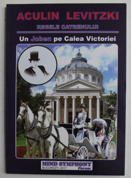 UN JOBEN PE CALEA VICTORIEI - CATRENE ALESE - de ACULIN LEVITZKI , 2017 * DEDICATIE