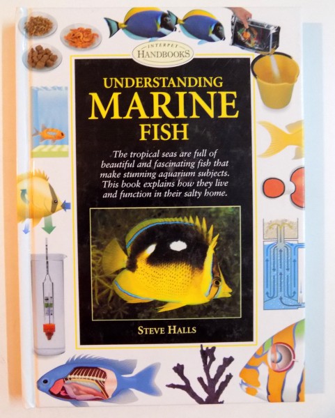 UNDERSTANDING MARINE FISH by STEVE HALLS , 2001