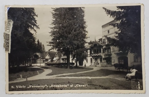 VALCELE  - CLUJ , VILELE FERENCZY , ELISABETA , CARAI , FOTOGRAFIE TIP CARTE POSTALA , 1938