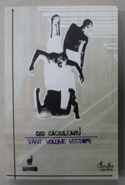 VANT , VOLUME , VECTORI de GIGI CACIULEANU , 2008