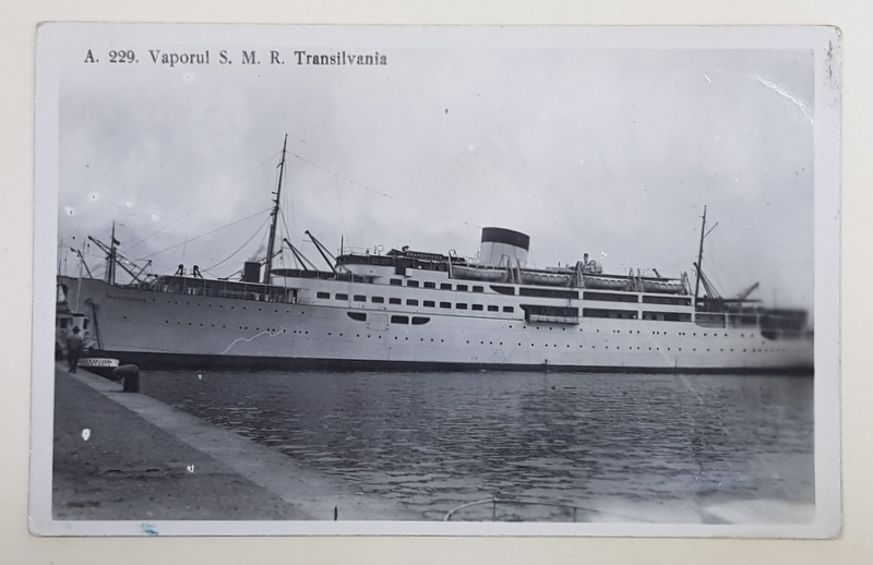 VAPORUL S.M.R.  ' TRANSILVANIA ' , IN PORT , FOTOGRAFIE TIP CARTE POSTALA , INTERBELICA