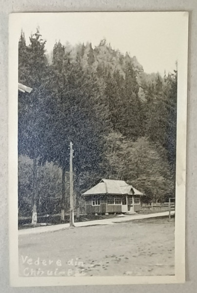 VEDERE DIN CHIRUI BAI , HARGHITA , CASUTA LA MARGINEA PADURII , FOTOGRAFIE FORMAT CARTE POSTALA , INTERBELICA