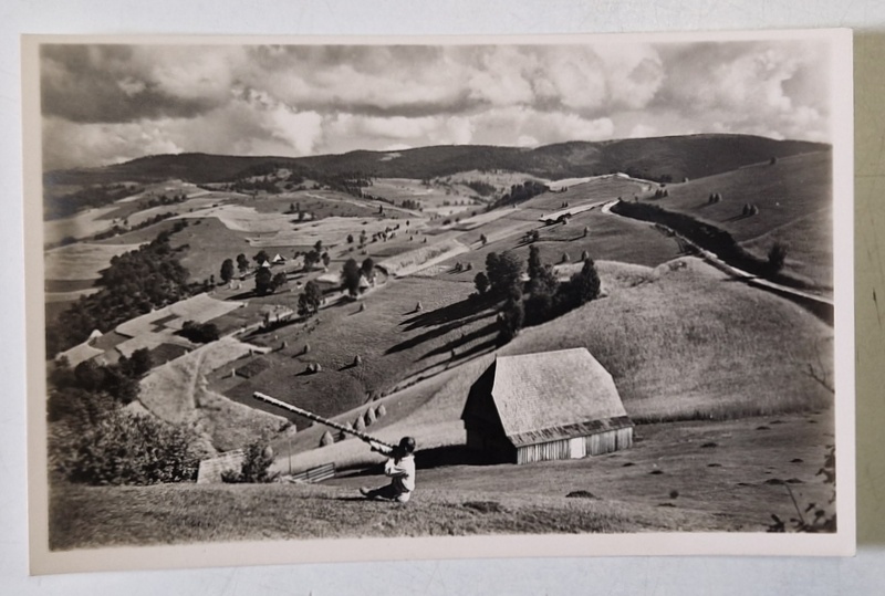 VEDERE DIN MUNTII APUSENI , FOTOGRAFIE TIP CARTE POSTALA , INTERBELICA