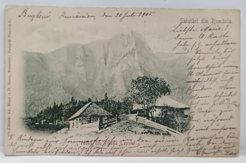 VEDERE DIN POIANA TAPULUI , CARTE POSTALA  ILUSTRATA , CLASICA , DATATA  1905