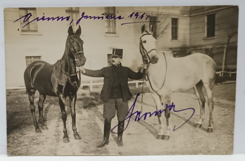 VIENA , OFITER TINAND  DOI CAI  DE DARLOGI , IN CURTEA UNITATII , FOTOGRAFIE , CARTE POSTALA , 1914