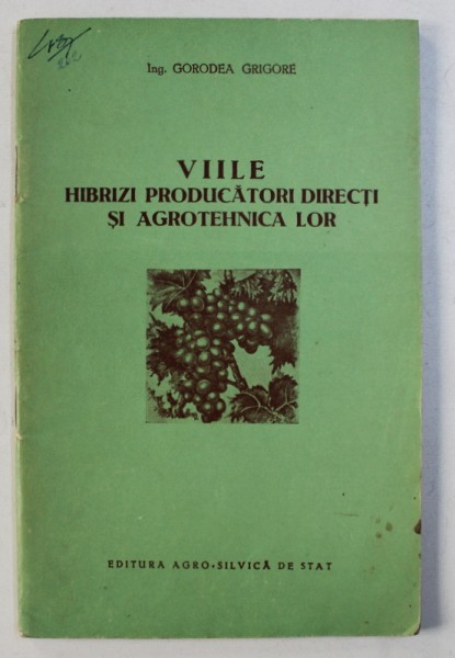 VIILE - HIBRIZI PRODUCATORI DIRECTI SI AGROTEHNICA LOR de GORODEA GRIGORE , 1955