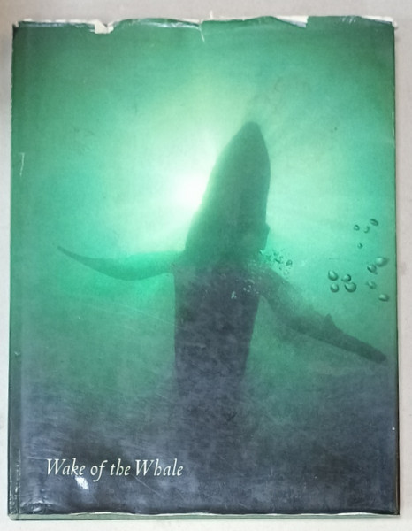 WAKE OF THE WHALE , text by KENNETH BROWER , photographs WILLIAM R. CURTSINGER , 1979