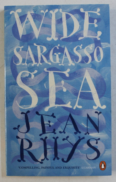 WIDE SARGASSO SEA by JEAN RHYS , 2011