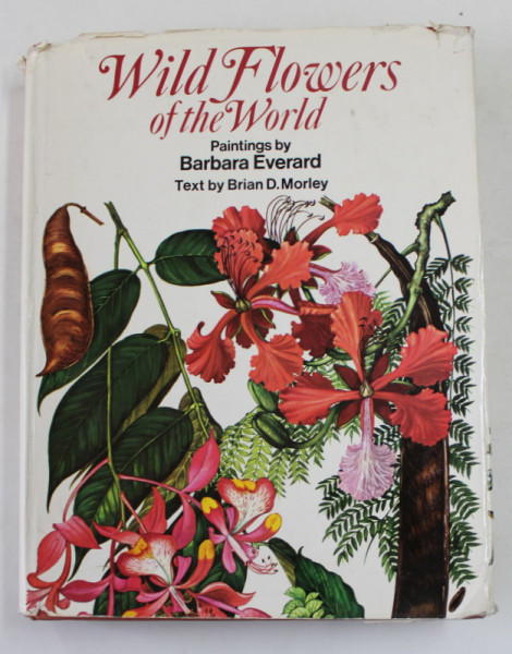 WILD FLOWERS OF THE WORLD , paintings by BARBARA EVERARD , text by BRIAN D. MORLEY , 1974