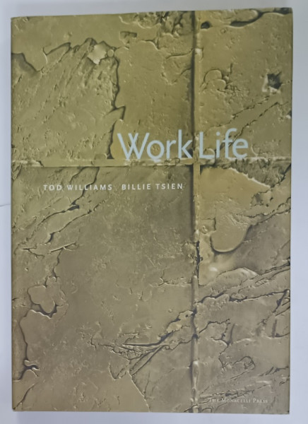 WORK LIFE , TOD WILLIAMS and BILLIE TSIEN , edited by HADLEY ARNOLD , ALBUM DE ARHITECTURA
