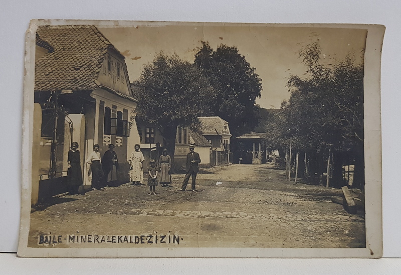 ZIZIN , BAILE MINERALE CALDE , VEDERE DE PE STRADA , FOTOGRAFIE TIP CARTE POSTALA , MONOCROMA , NECIRCULATA , INCEPUTUL SECOLULUI XX